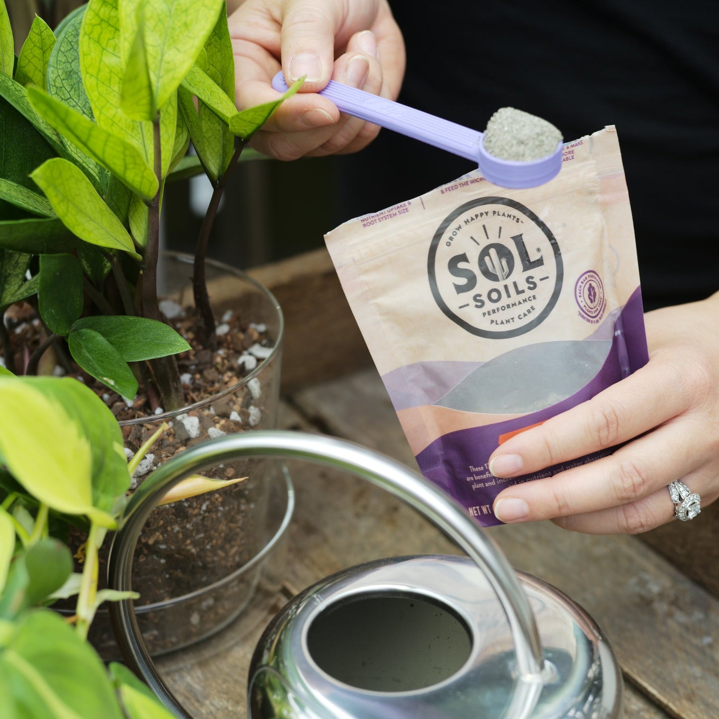 Sol Biotics Bundle Pack